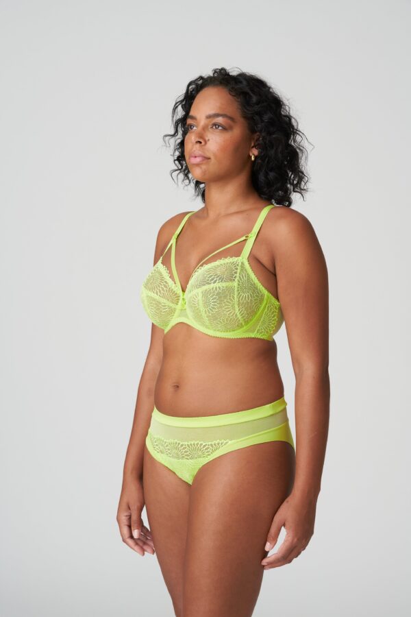 SOPHORA Lime crush rio briefs