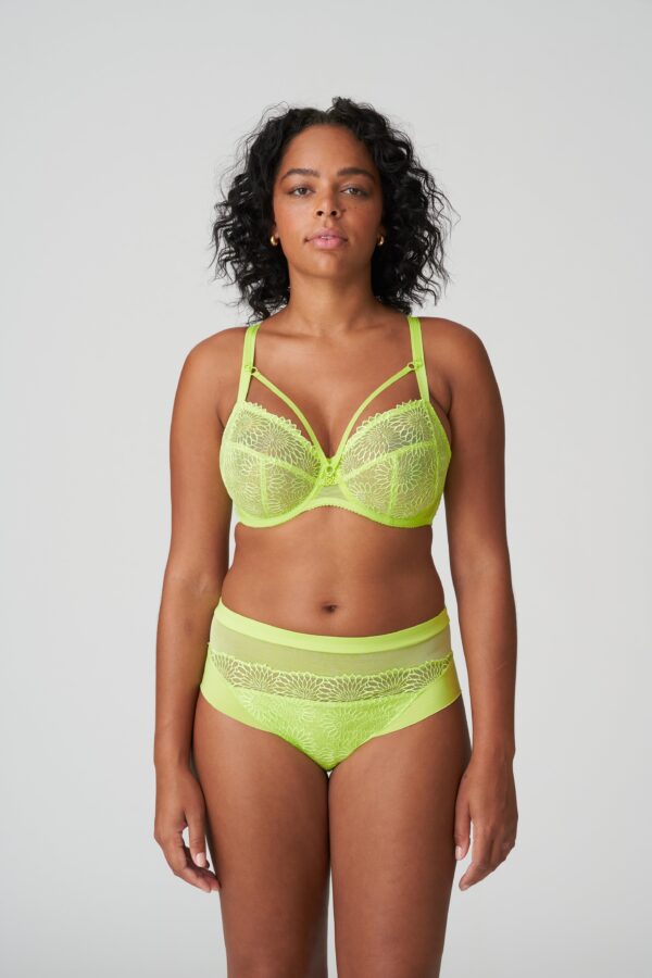 SOPHORA Lime crush full briefs