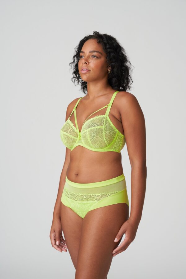 SOPHORA Lime crush full briefs